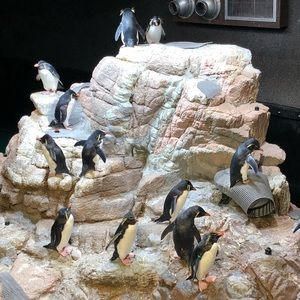 Meet your Posher, Guilherme